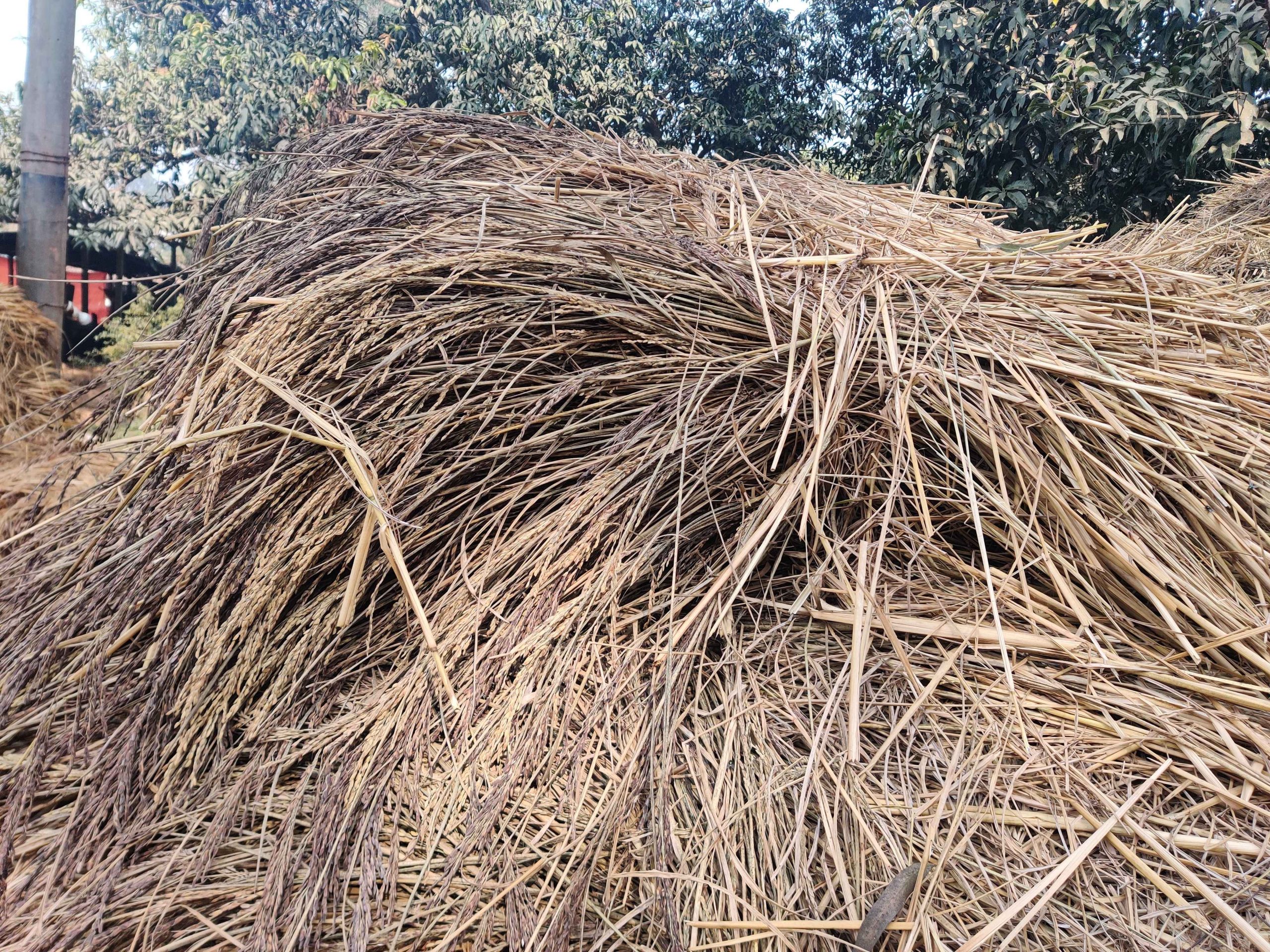 West Champaran’s problems of accessing water West Champaran’s problems of accessing water