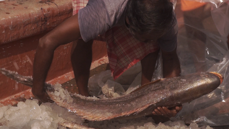 How a cyclone left Frazergunj’s fishermen with no fish to catch How a cyclone left Frazergunj’s fishermen with no fish to catch