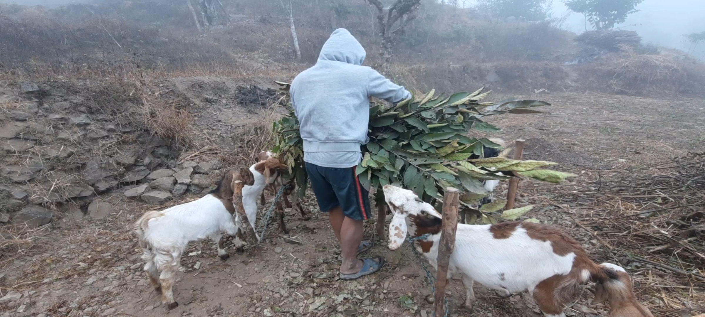 Migrants of Circumstances Migrants of Circumstances