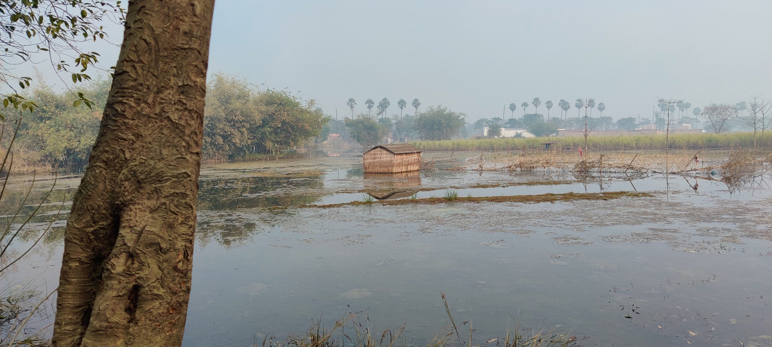 The Gandak menace: continued floods a problem for East Champaran The Gandak menace: continued floods a problem for East Champaran